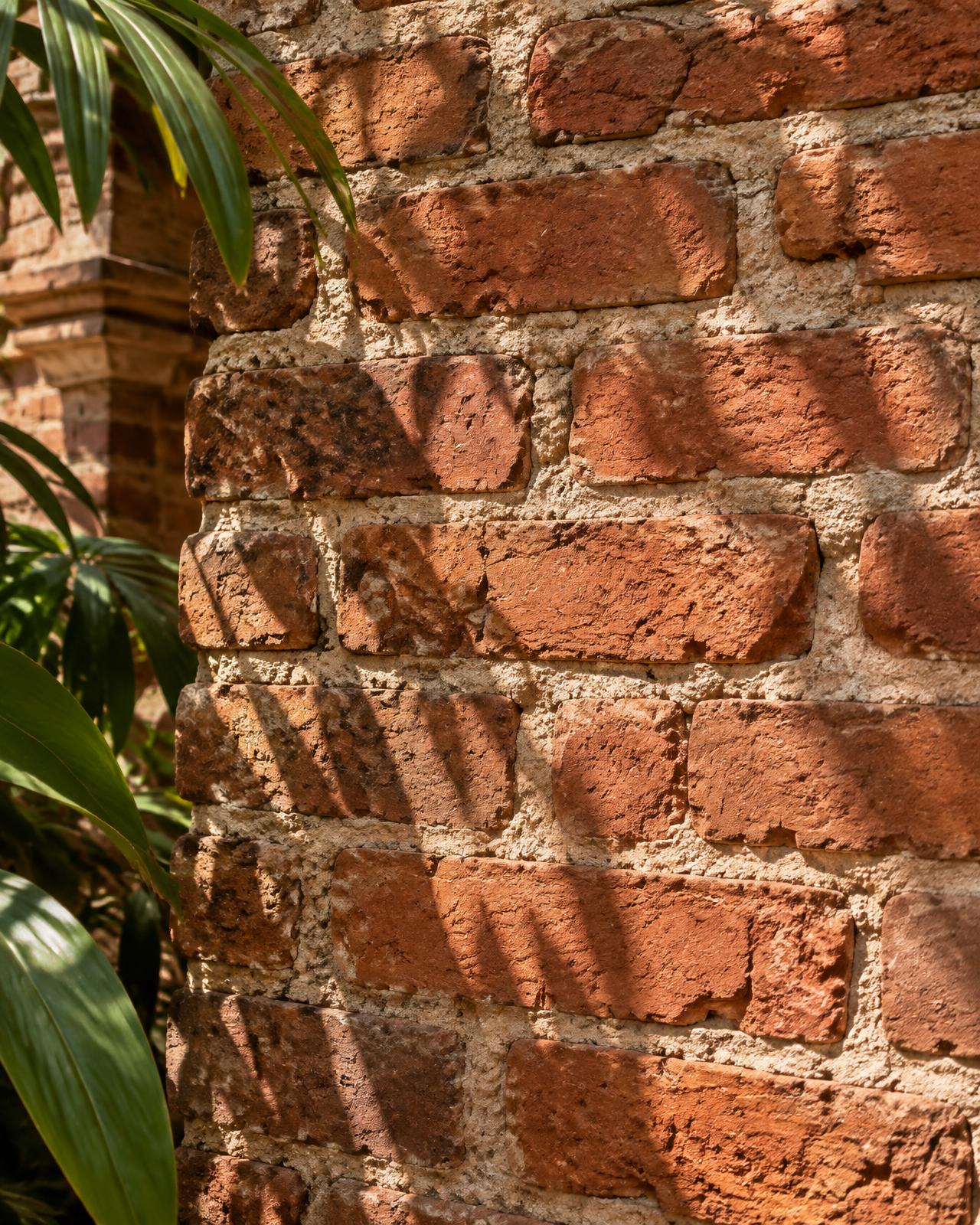 Rustic handmade red brick wall with tropical foliage